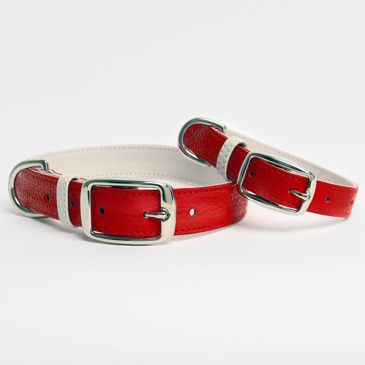 Coach dog collars discontinued cheap